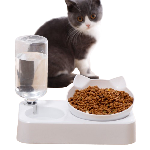 Food bowl with drinking fountain